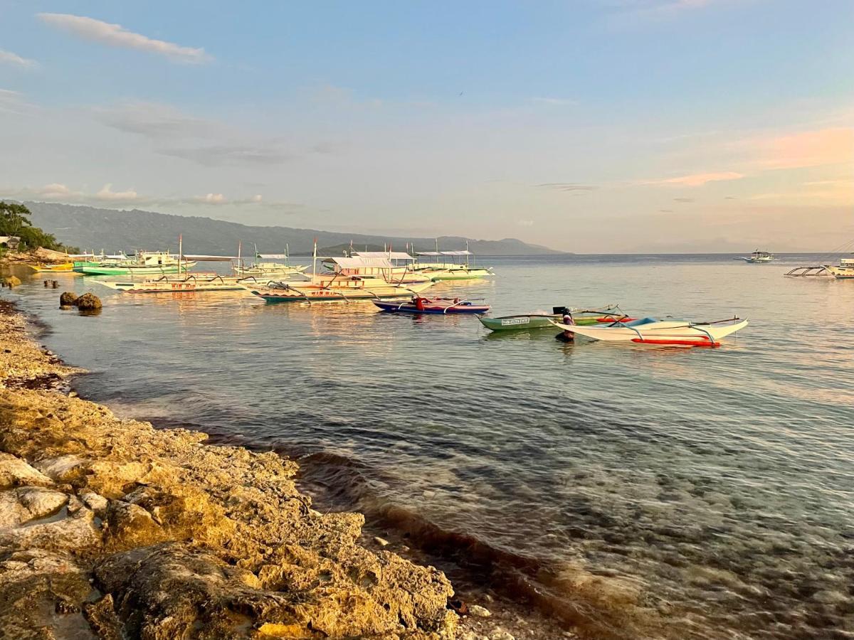Momo Hostel Моалбоал Экстерьер фото